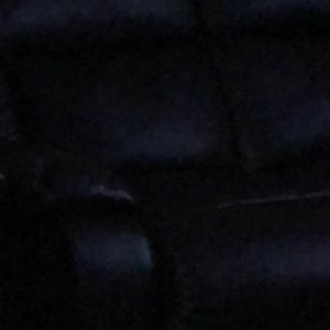 Meet your Posher, Gia